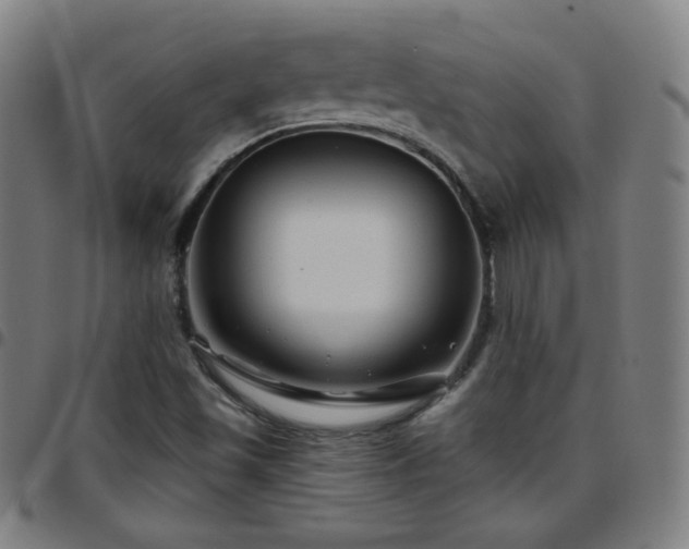 X0000097651501200803071457