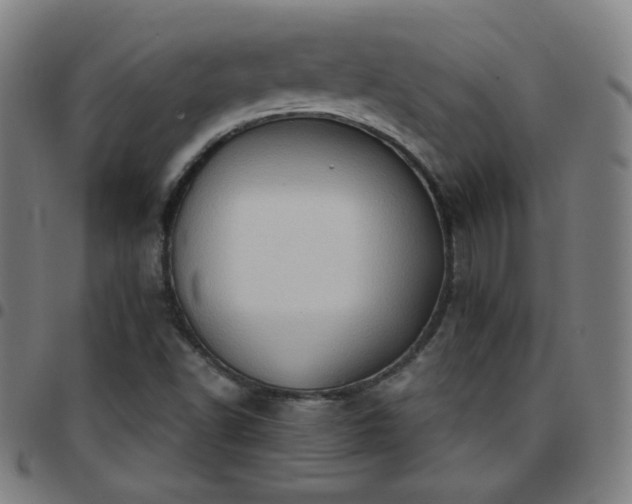 X0000097651502200803071457