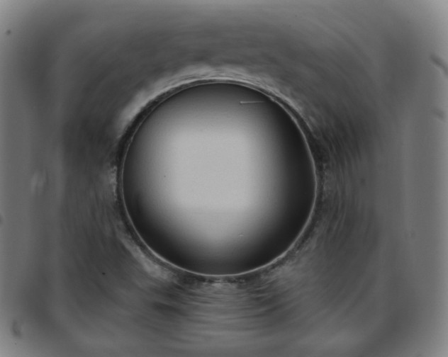 X0000097651503200803071457