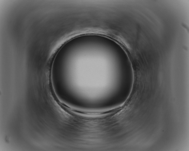 X0000097651504200803071457