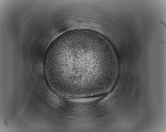 X0000097651505200803071457