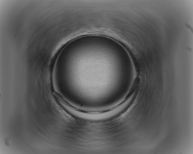 X0000097651506200803071457