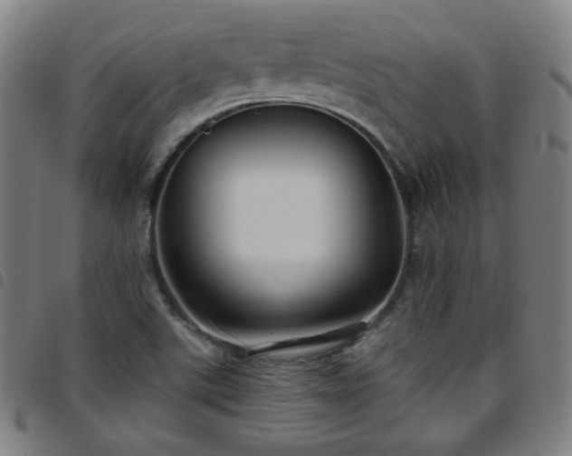 X0000097651507200803071457