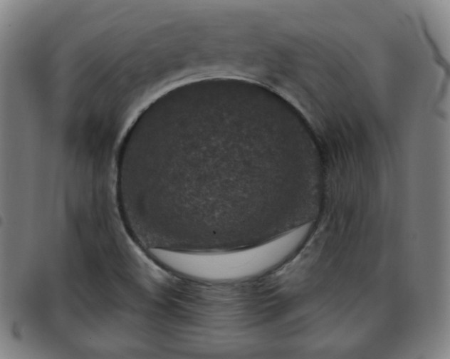 X0000097651508200803071457