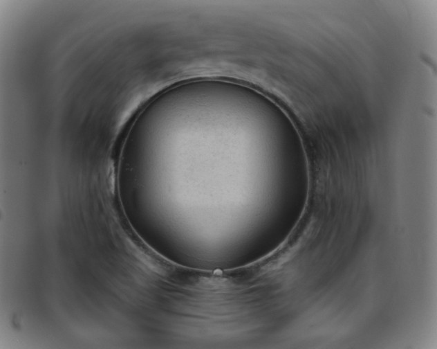 X0000097651509200803071457