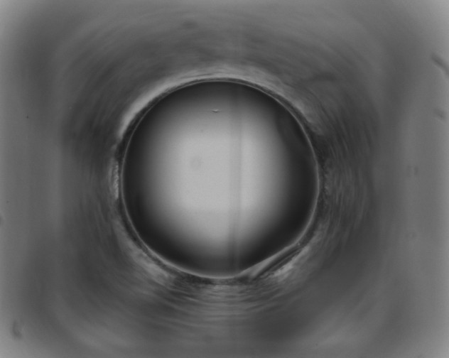 X0000097651510200803071457