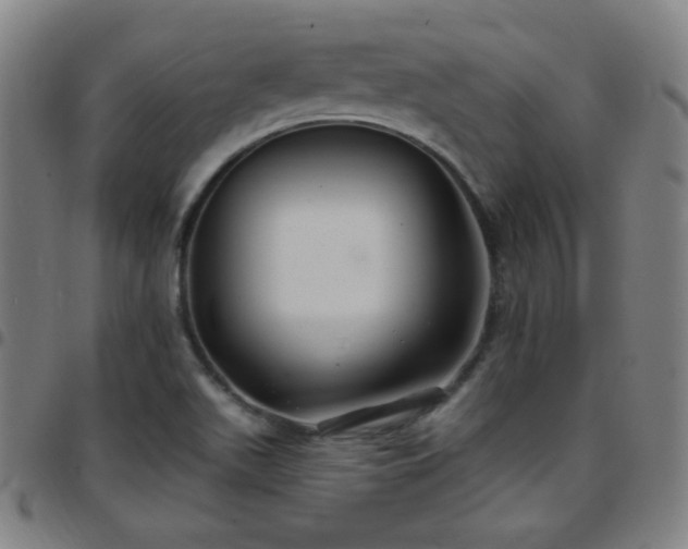 X0000097651511200803071457