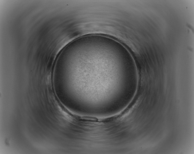 X0000097651513200803071457