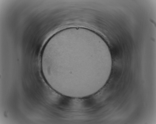 X0000097651514200803071457