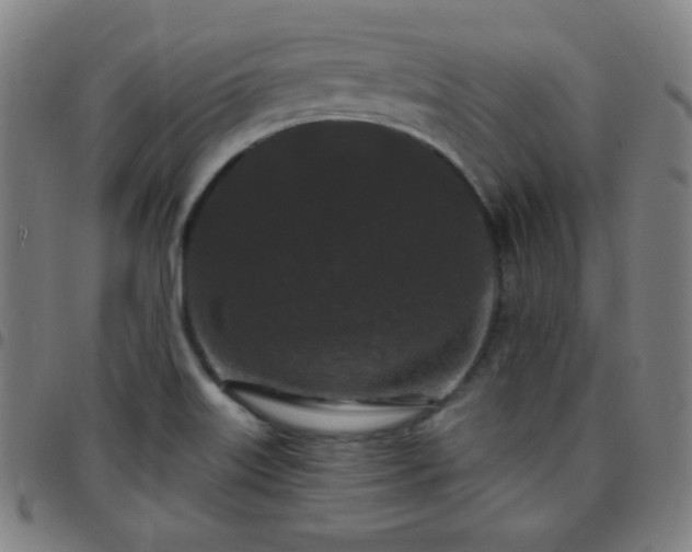 X0000097651515200803071457