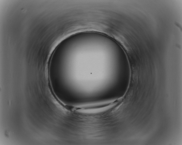 X0000097651516200803071457