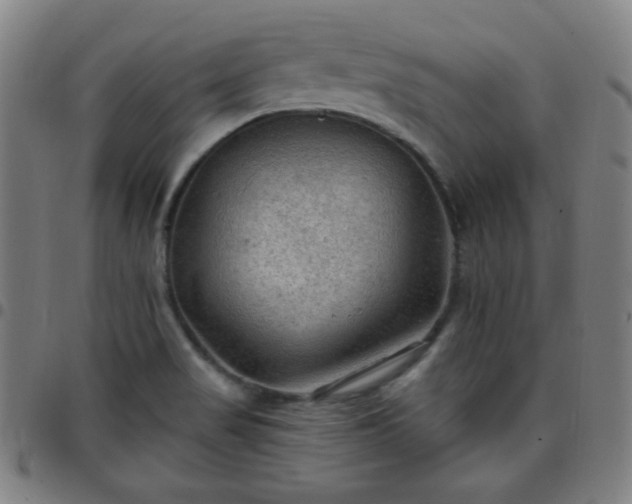 X0000097651517200803071457