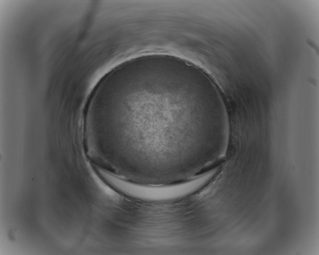 X0000097651519200803071457