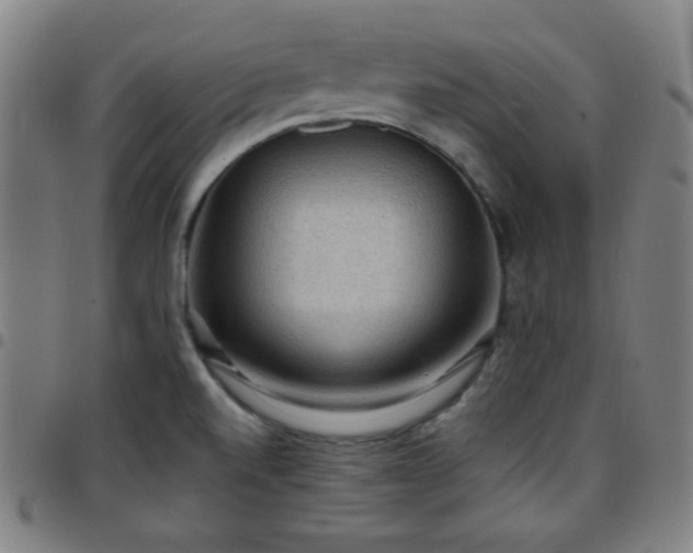 X0000097651520200803071457