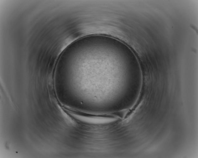 X0000097651521200803071457