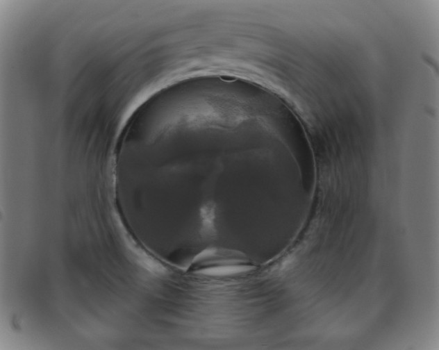 X0000097651522200803071457