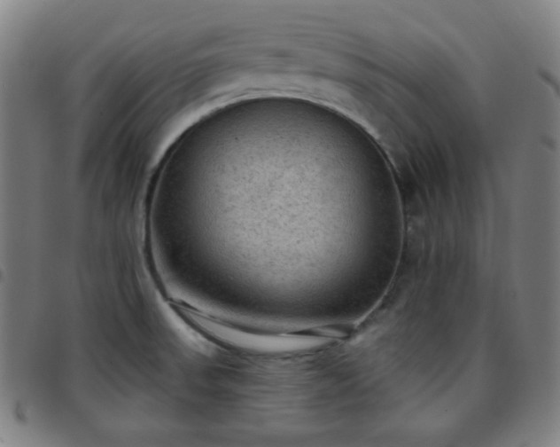 X0000097651523200803071457