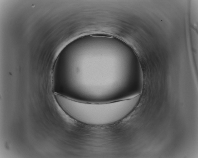 X0000097651524200803071457