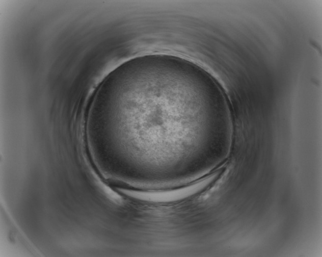 X0000097651525200803071457