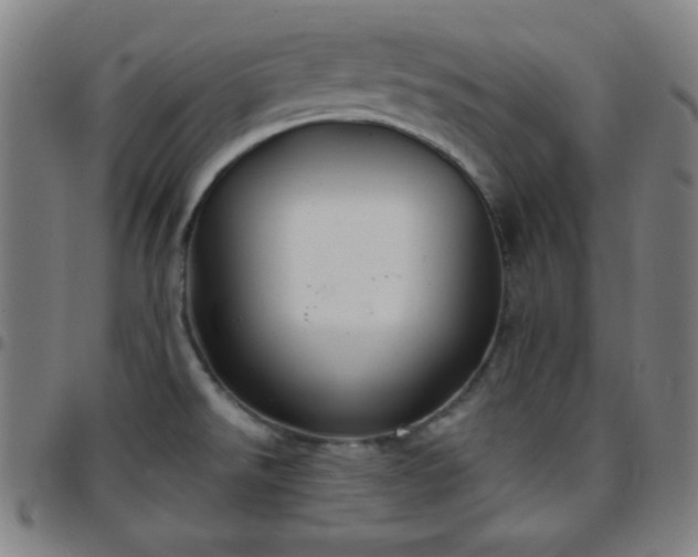 X0000097651526200803071457