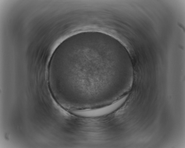 X0000097651527200803071457