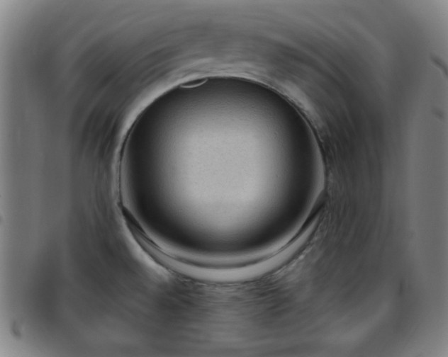 X0000097651528200803071458