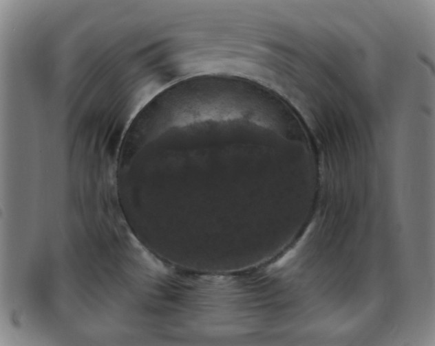 X0000097651529200803071458