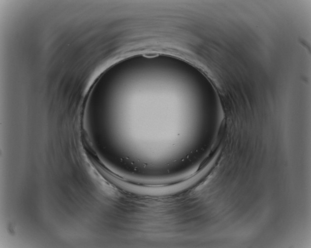 X0000097651530200803071458