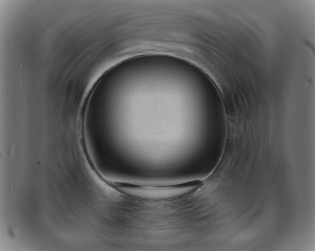 X0000097651531200803071458