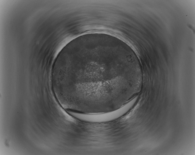 X0000097651533200803071458