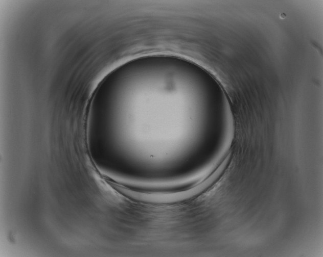 X0000097651534200803071458