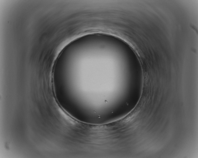 X0000097651535200803071458