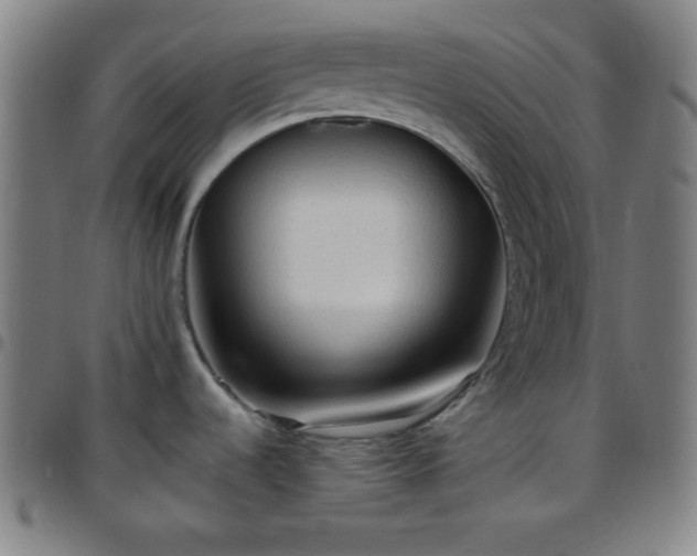 X0000097651536200803071458