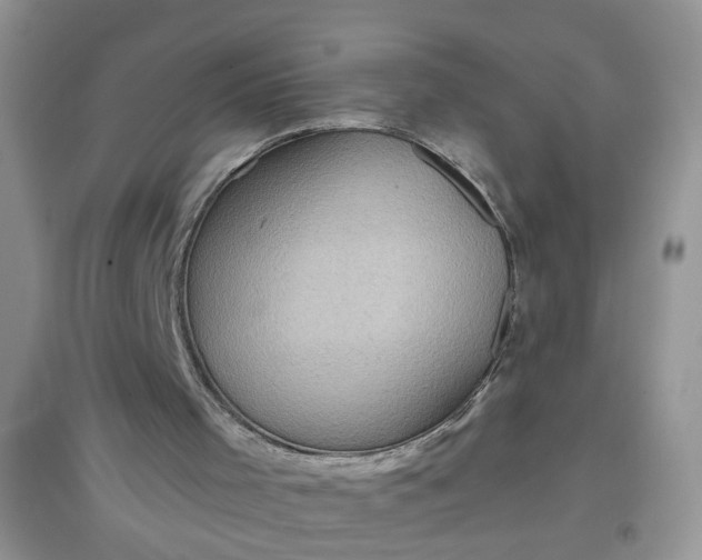 X0000097650001200803142120