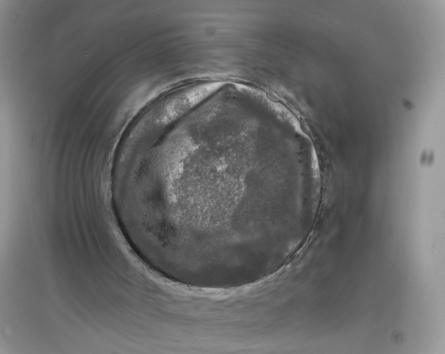 X0000097650002200803142120