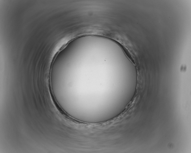 X0000097650003200803142120