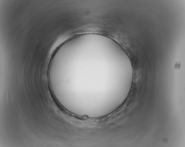 X0000097650004200803142120