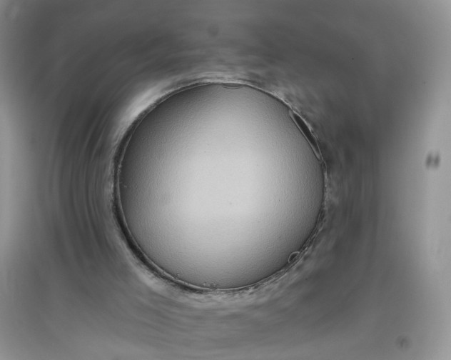 X0000097650005200803142120