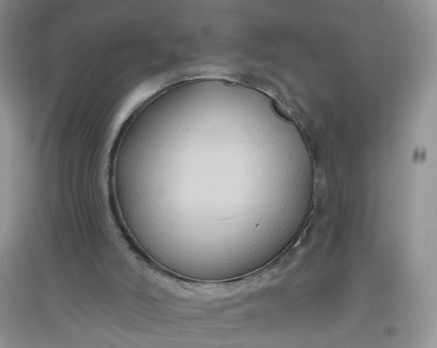 X0000097650006200803142120