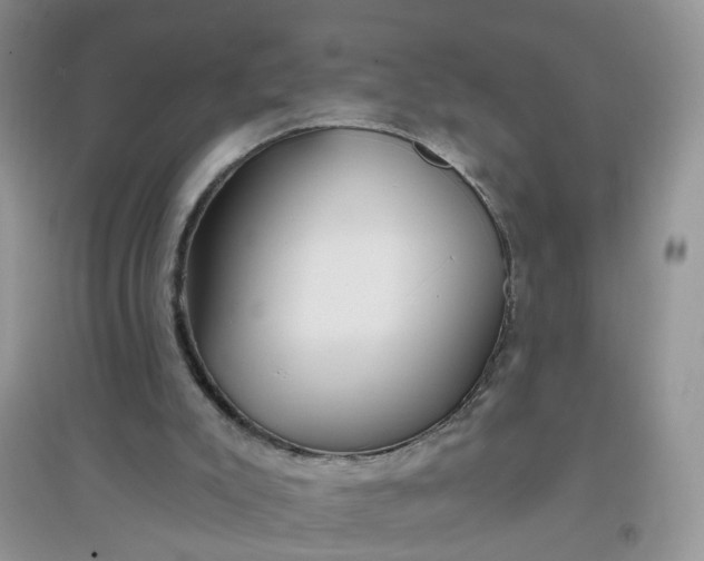 X0000097650007200803142120