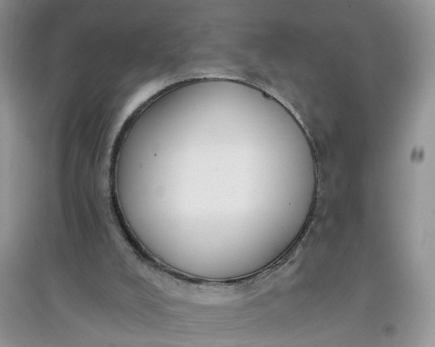 X0000097650008200803142120