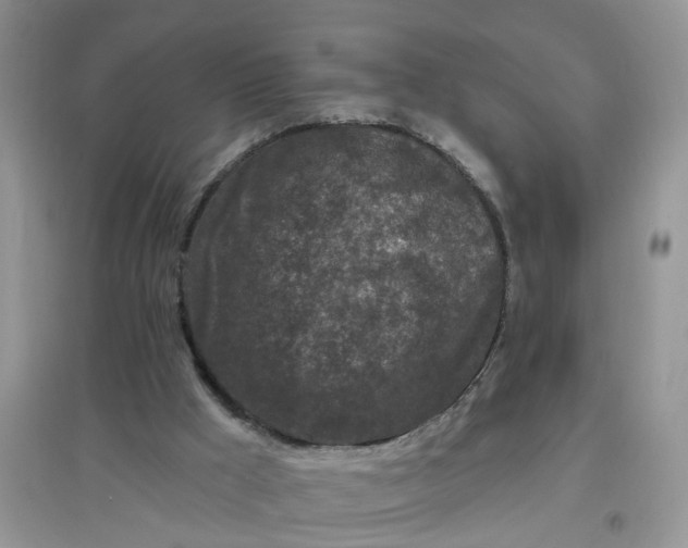 X0000097650009200803142120