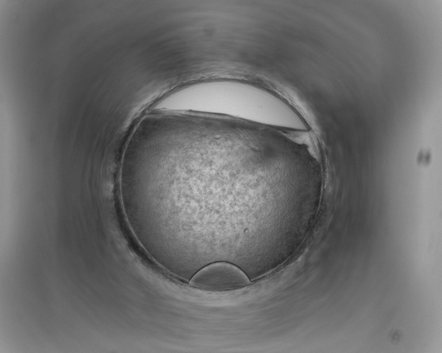 X0000097650010200803142120