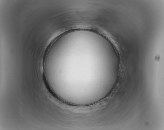 X0000097650011200803142120