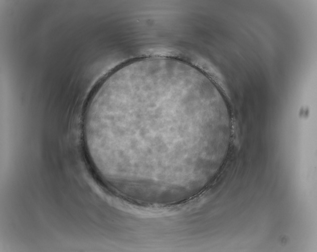 X0000097650012200803142120