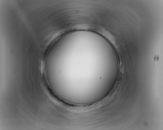 X0000097650013200803142120