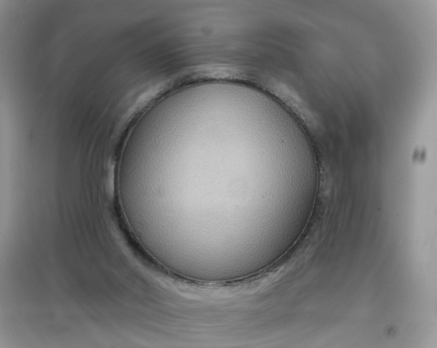 X0000097650014200803142120