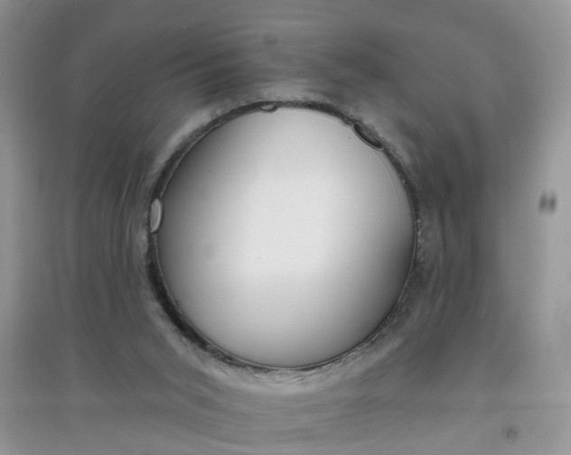 X0000097650015200803142120