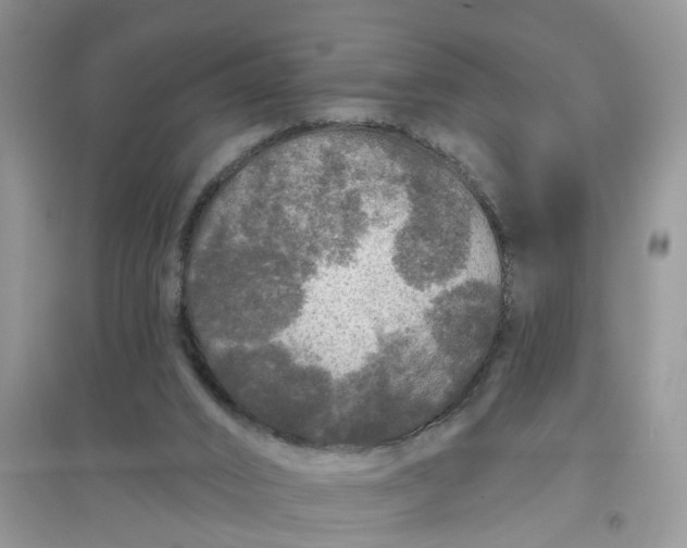 X0000097650016200803142120