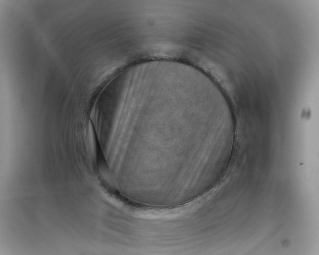 X0000097650017200803142120